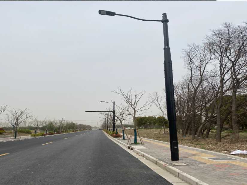 东区上海综合杆 太阳能路灯工程